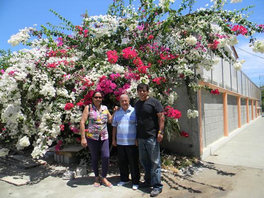 Felipe Flores y Sra. Flores