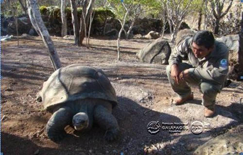Isla Galapagos Ecuador